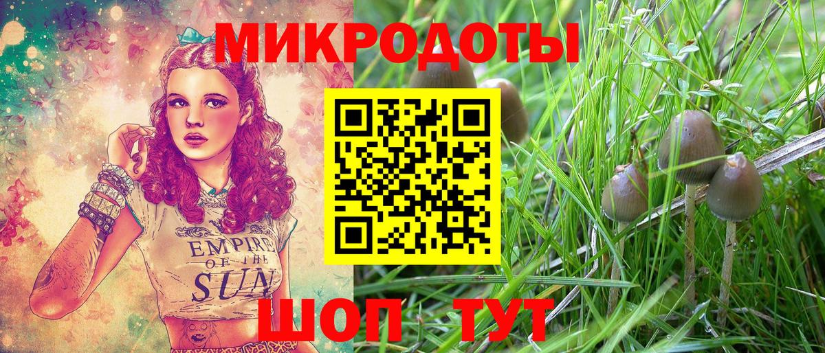 Галлюциногенные грибы Magic Shrooms Новошахтинск